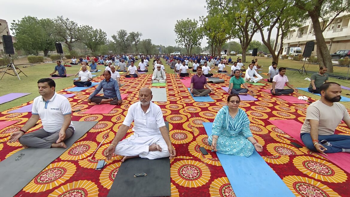 10वे अंतरष्ट्रीय योग दिवस पर उपखंड प्रशासन की ओर से आयोजित कार्यक्रम में बड़ी संख्या में लोगों ने किया योग