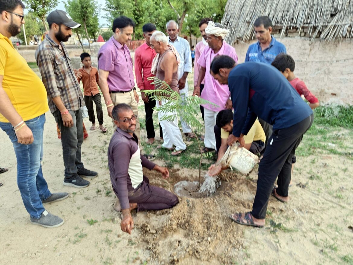 मातृशक्ति ने किया पौधारोपण, लिया संरक्षण का संकल्प