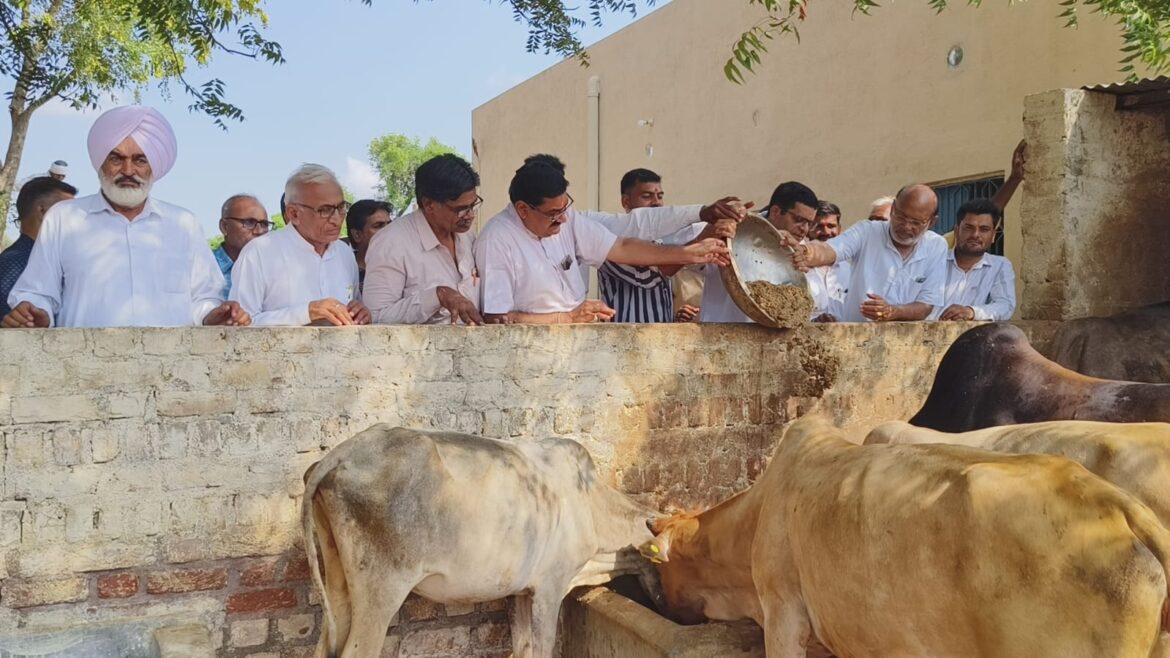 स्वर्गीय कल्याण सिंह राजपुरोहित की पुण्यतिथि पर पुरोहित परिवार द्वारा गौसेवा, गणमान्य जनों ने लिया भाग